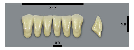 Гарнітури зубів MFT колір 1M1 розмір L37LN, колір 1M1, розмір L37LN