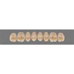 Гарнітури зубів MFT колір 2M1 розмір PU31, колір 2M1, розмір PU31