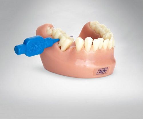 Модель зубів