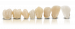 Матеріал VarseoSmile Crown plus A2, 250 g, A2, 250 гр